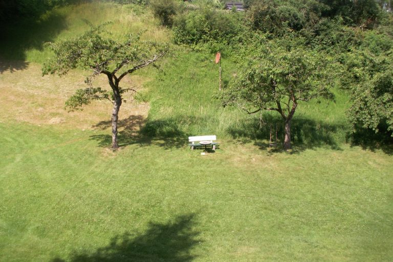 Wiese Zwei Bäume flankieren eine weiße Bank auf einer grünen Wiese.